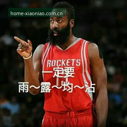 揭秘小鸟体育微博替代对比平台背后的真相：那些没人告诉你的登录失败源于此